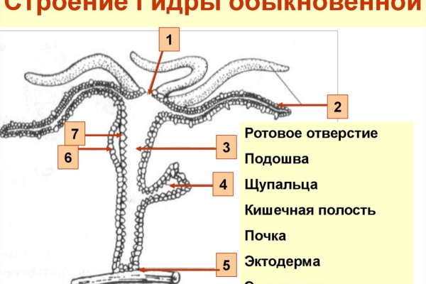 Маркетплейс кракен в россии