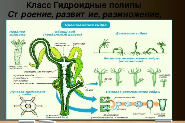 Кракен аватарка маркетплейс