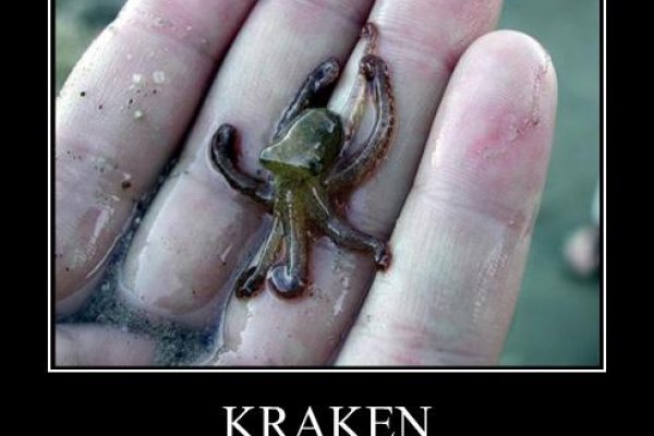 Kraken onion darknet zerkalo