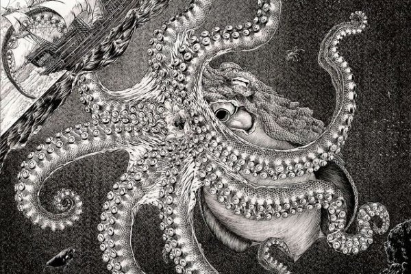 Kraken20 at